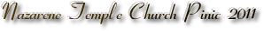 pinic2011 pp03efb1c6.png